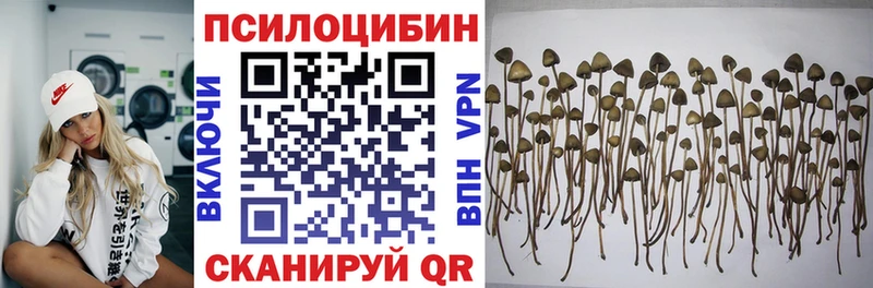 Галлюциногенные грибы прущие грибы Павловская